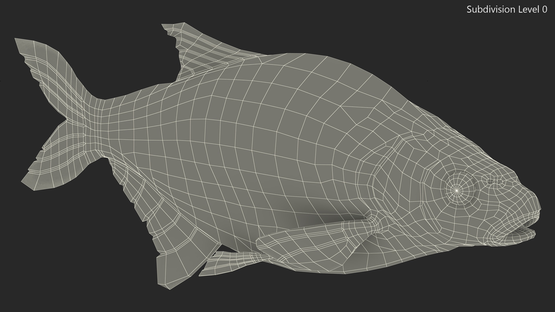 3D Abramis Brama model