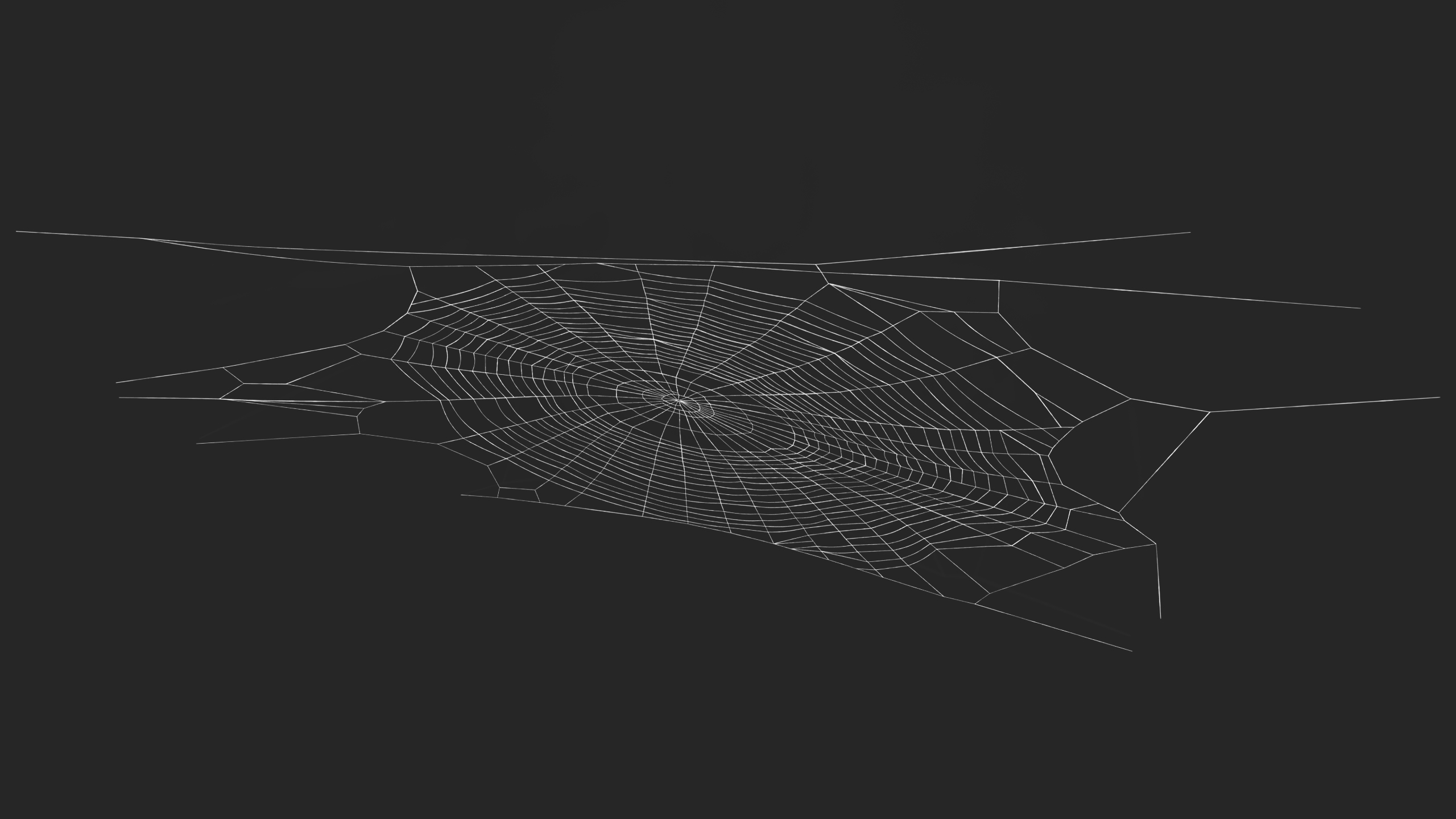3D Round Spider Web