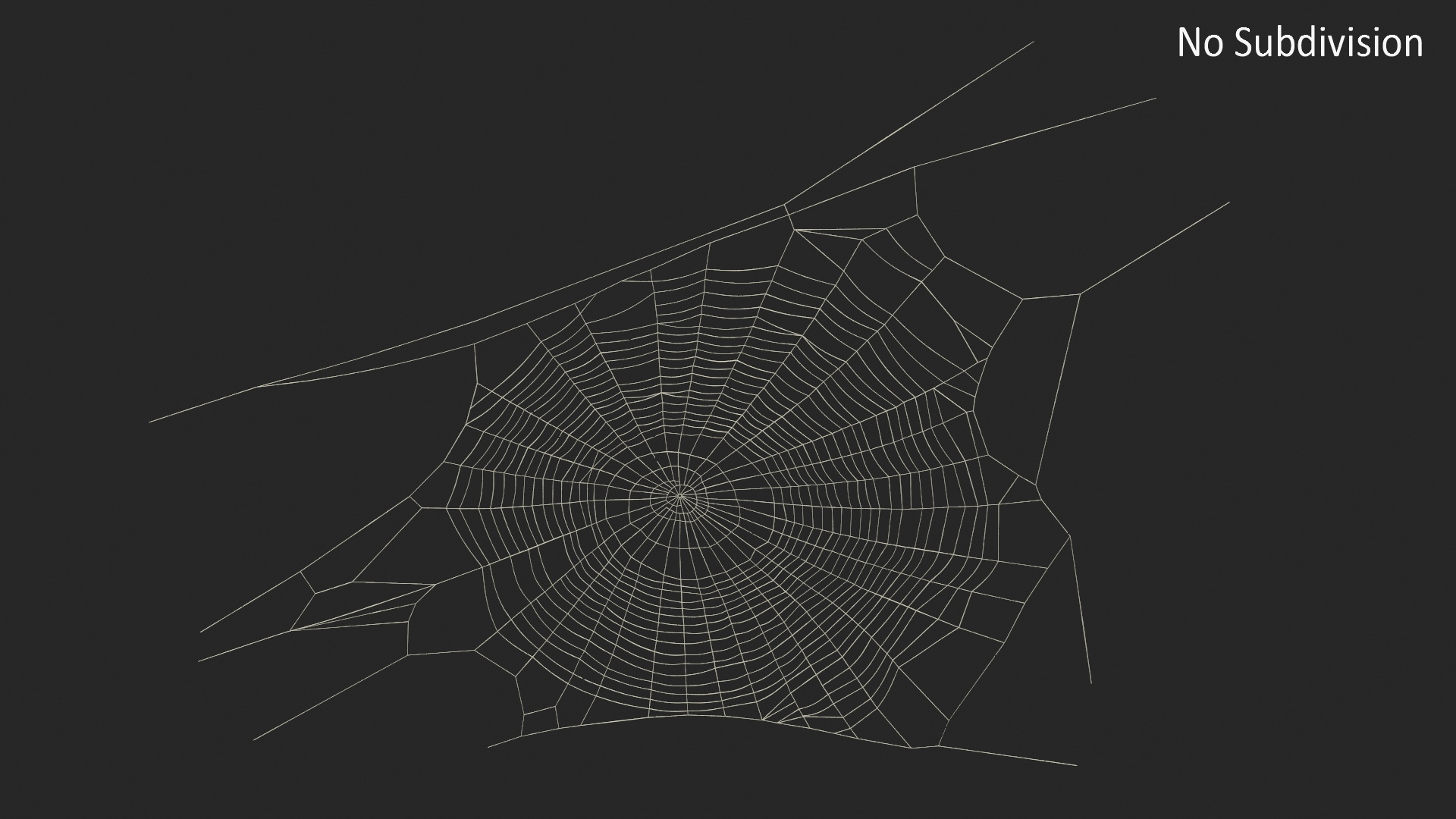 3D Round Spider Web