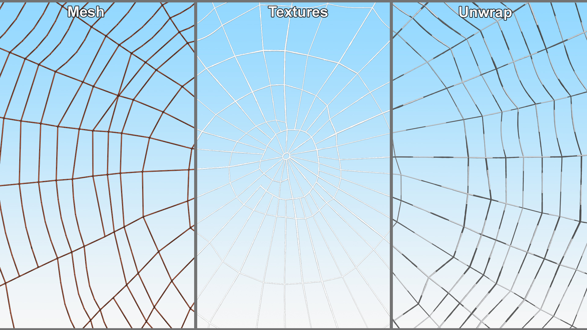 3D Round Spider Web