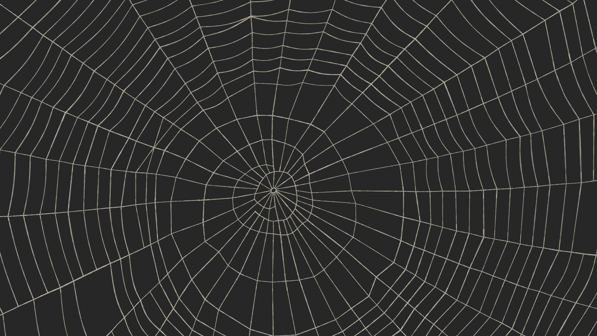 3D Round Spider Web