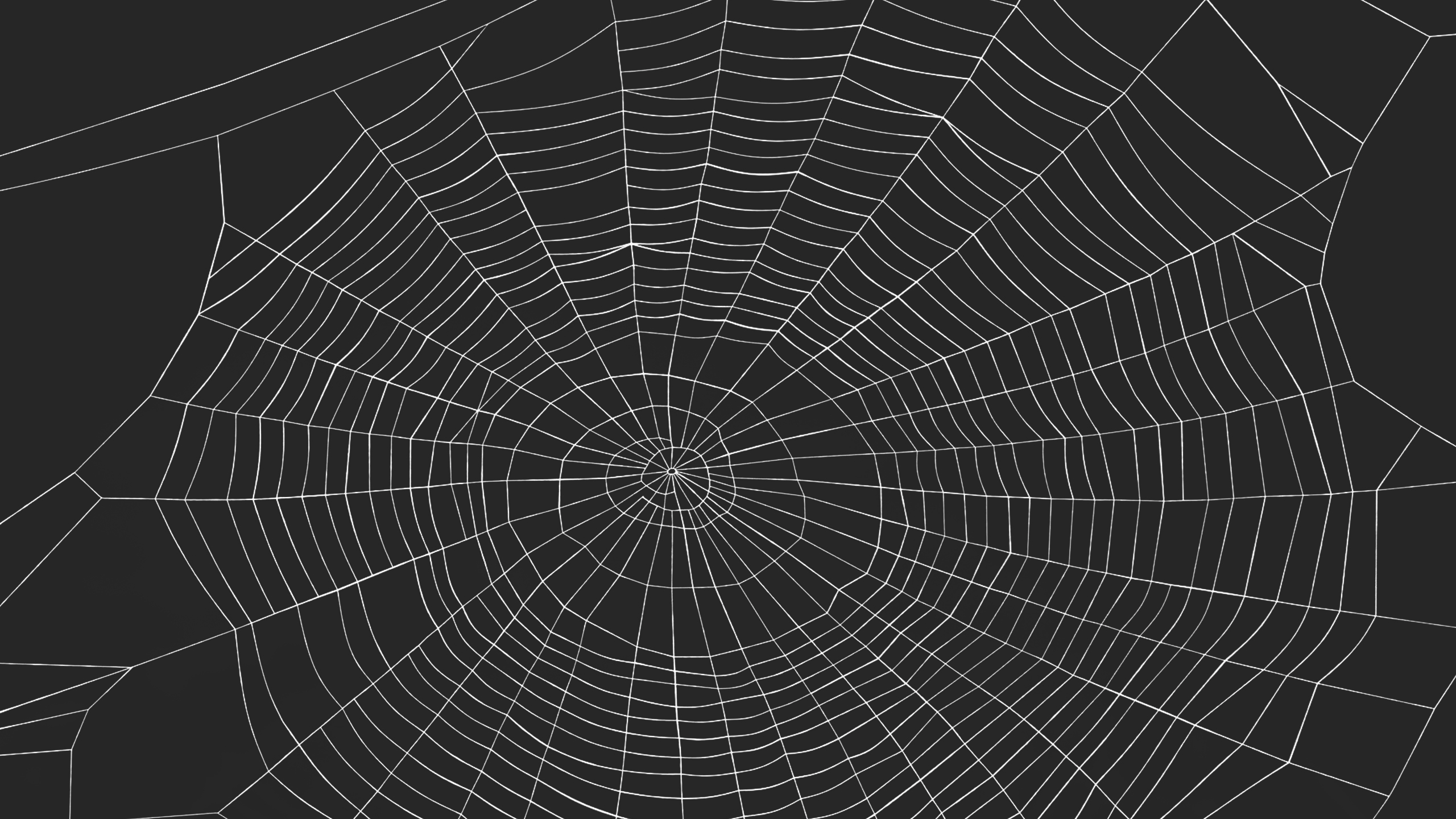 3D Round Spider Web