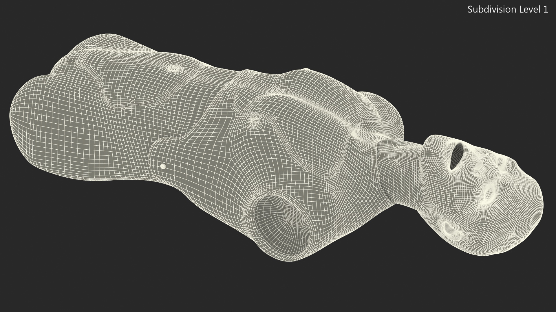 Resuscitation Manikin Torso 3D