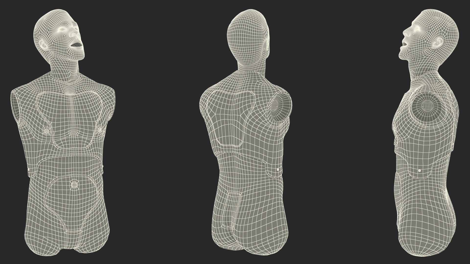 Resuscitation Manikin Torso 3D