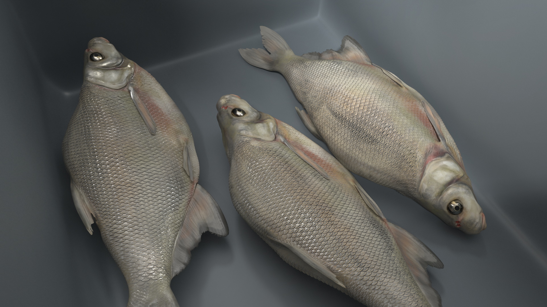 3D Man in Fishing Chair Catches Fish model