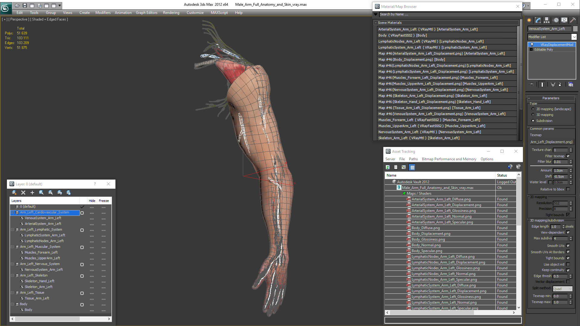 3D model Male Arm Full Anatomy and Skin