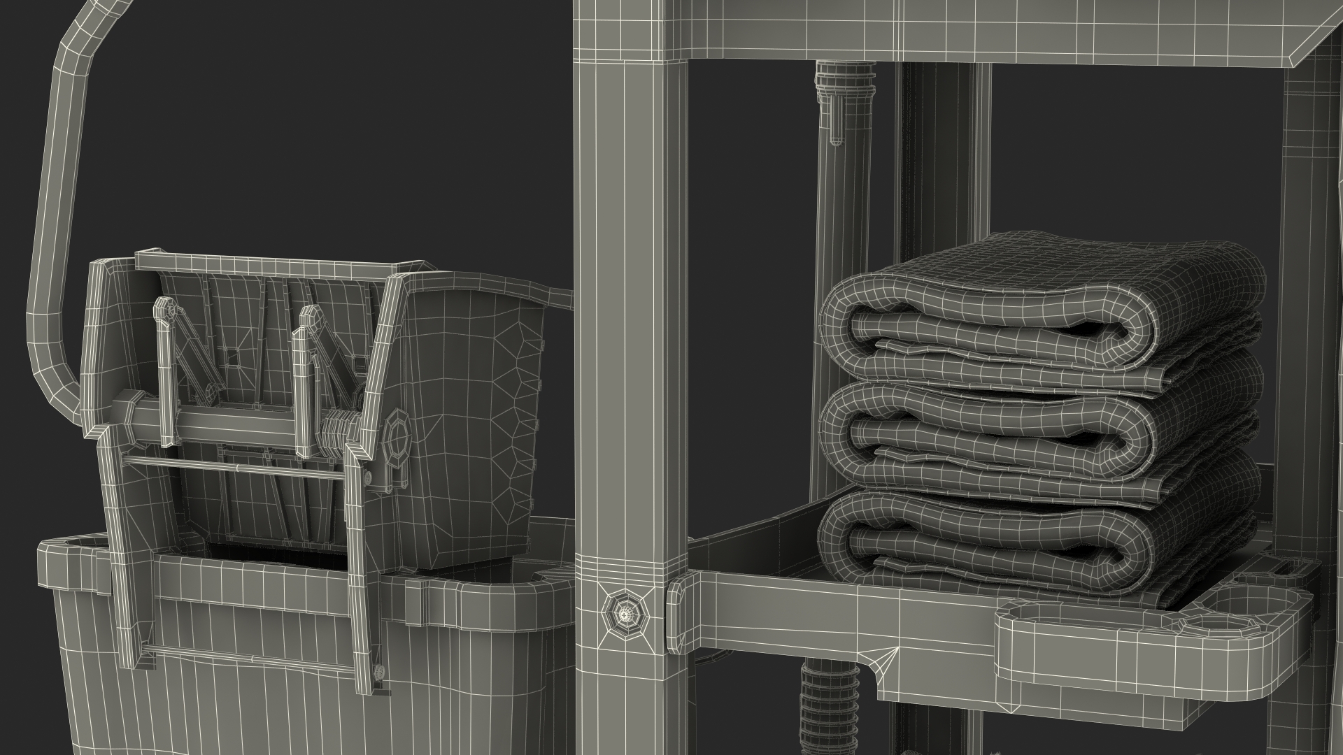 3D Cleaning Cart With Mop and Cleaning Products Fur model