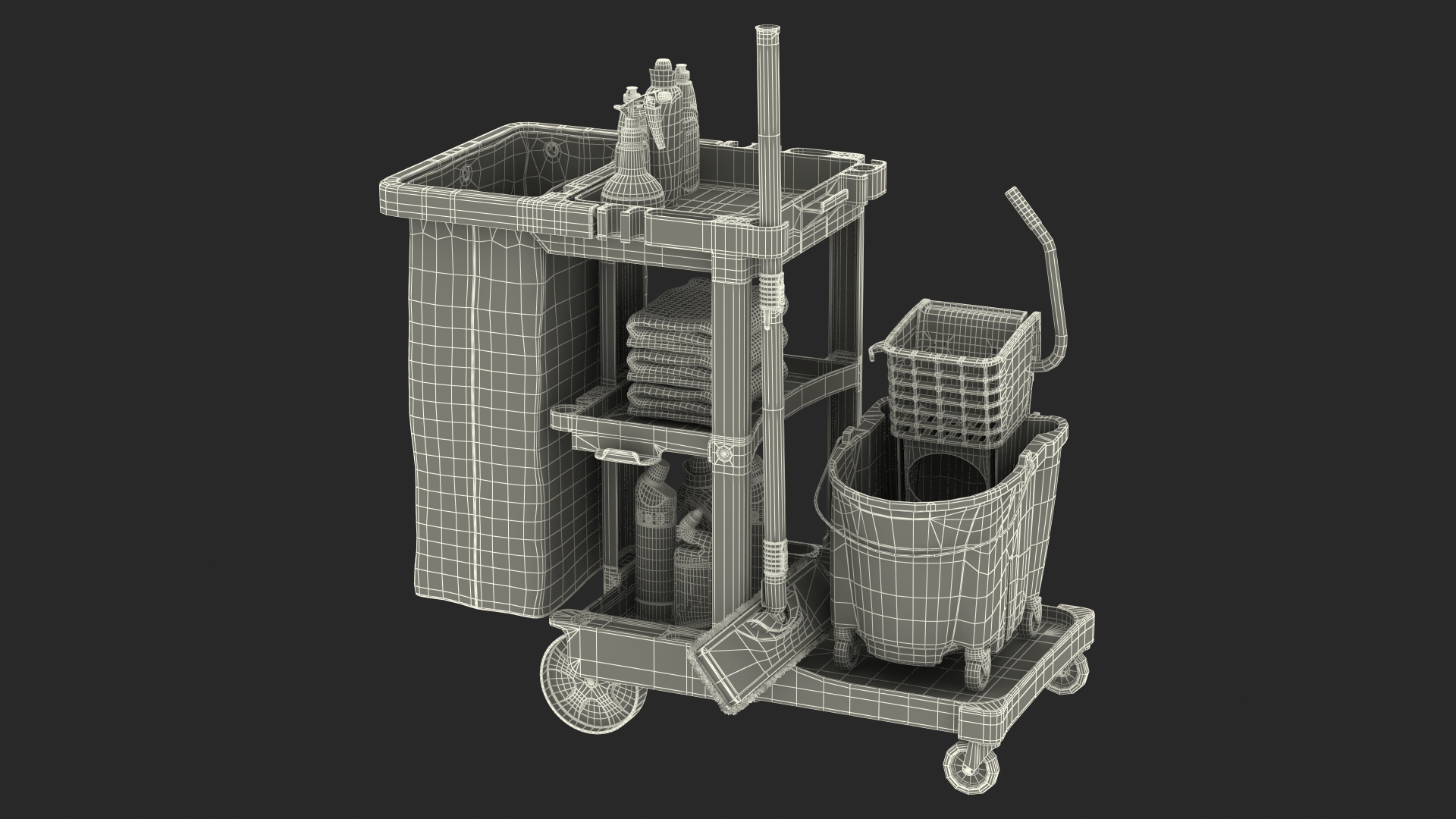 3D Cleaning Cart With Mop and Cleaning Products Fur model