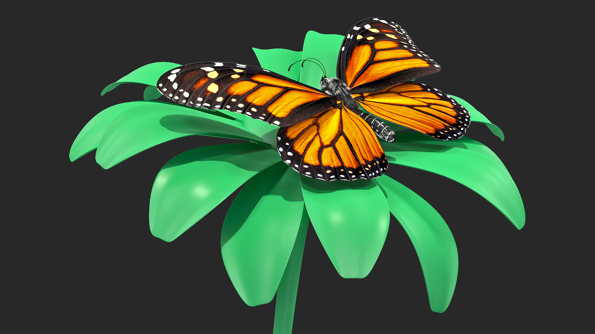 Animated Monarch Butterfly Takes Off from Flower with Fur Rigged 3D model