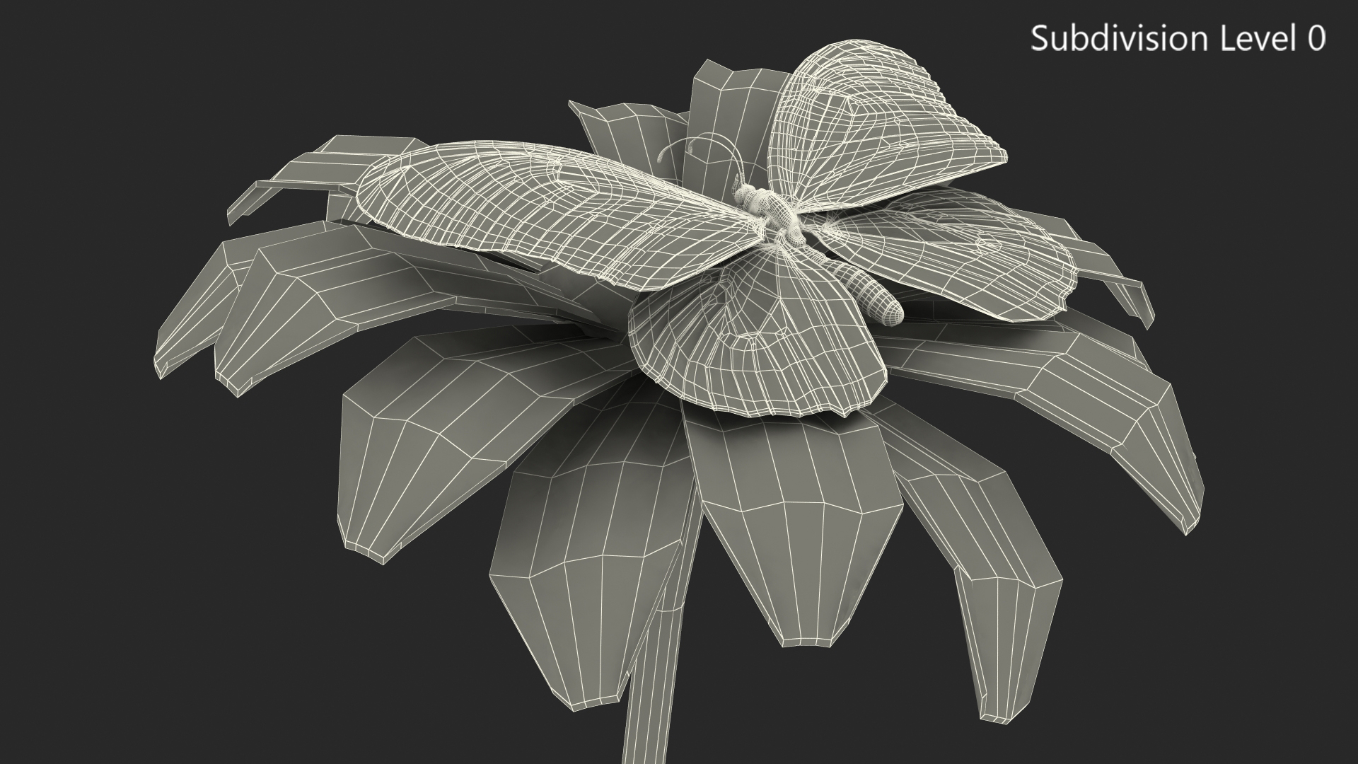 Animated Monarch Butterfly Takes Off from Flower with Fur Rigged 3D model