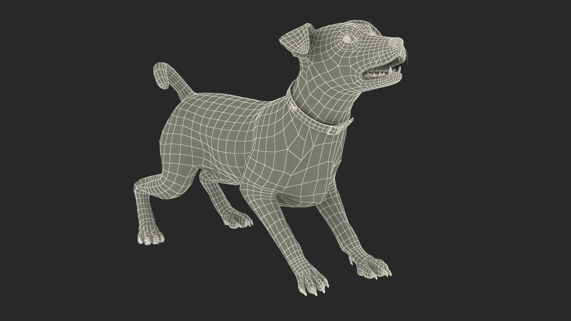 3D model Spotted Jack Russell Terrier Rigged