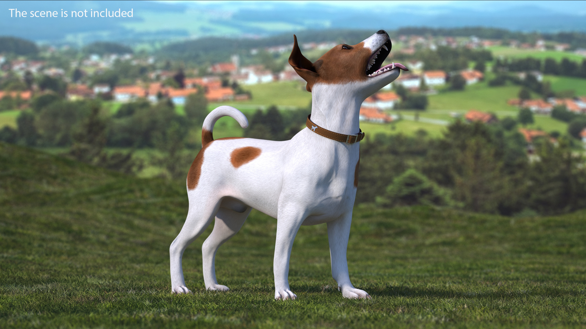 3D model Spotted Jack Russell Terrier Rigged