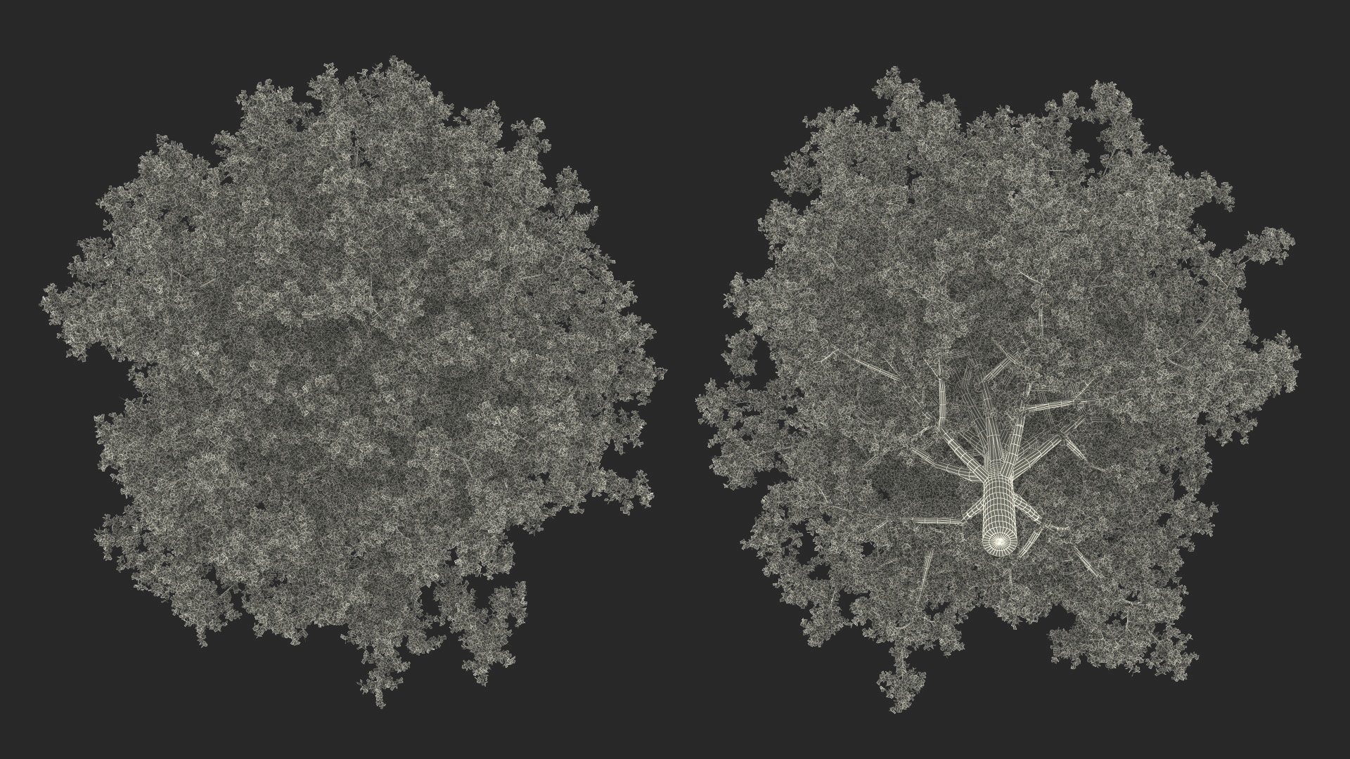 3D Realistic Oak Tree model