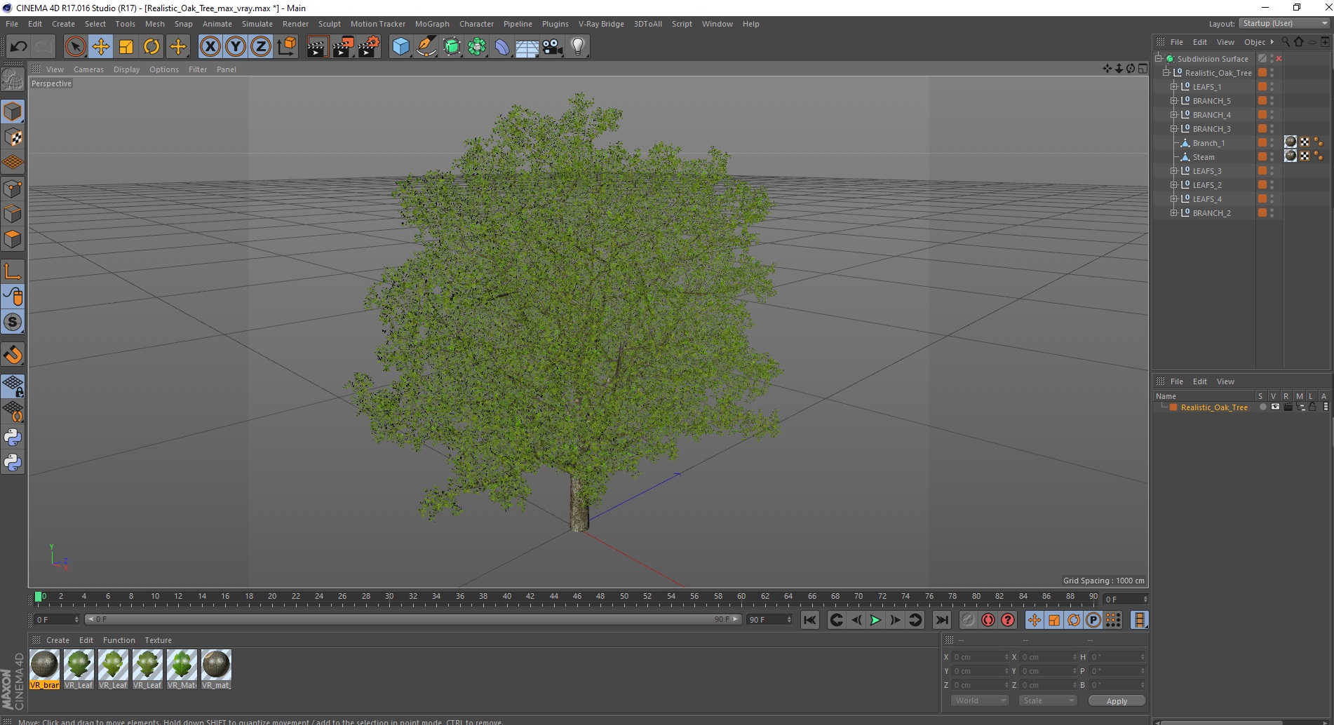 3D Realistic Oak Tree model