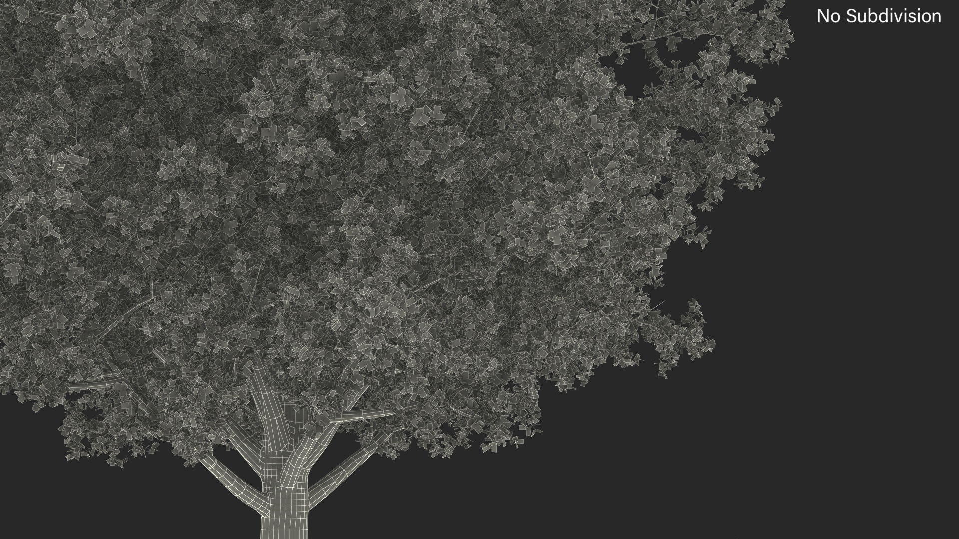 3D Realistic Oak Tree model