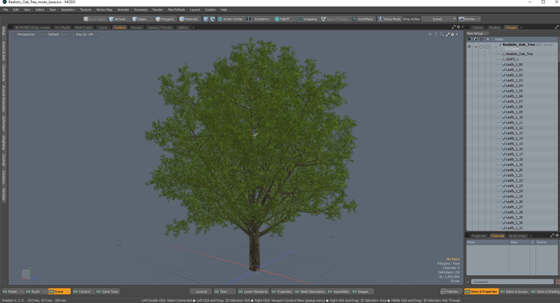3D Realistic Oak Tree model
