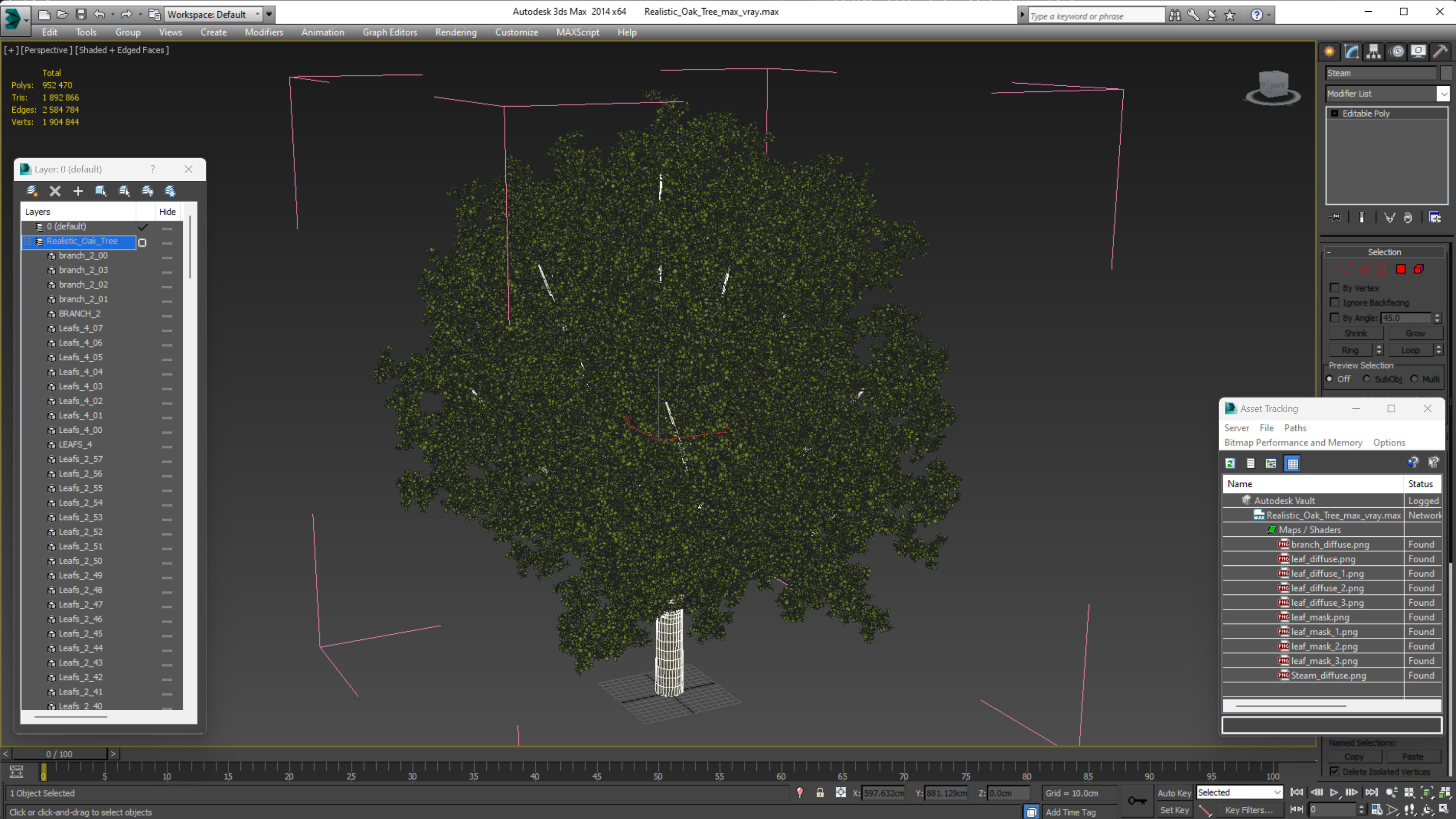 3D Realistic Oak Tree model
