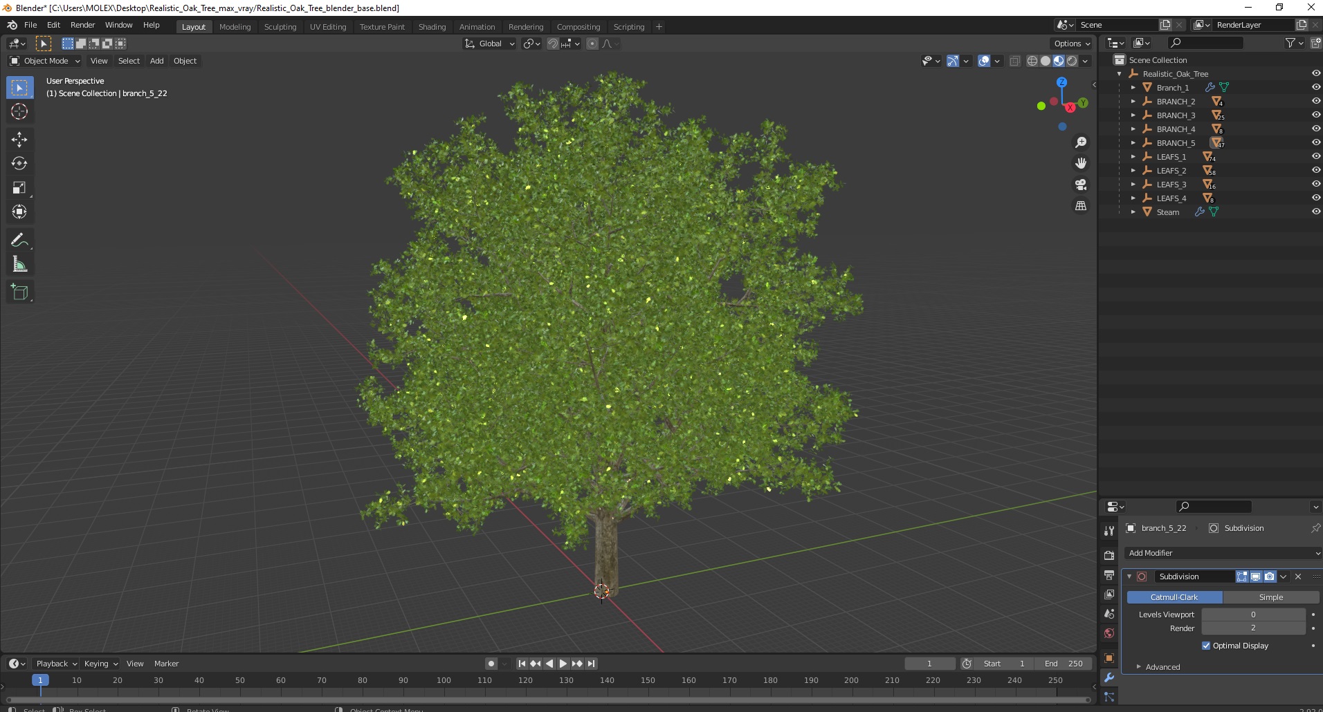 3D Realistic Oak Tree model