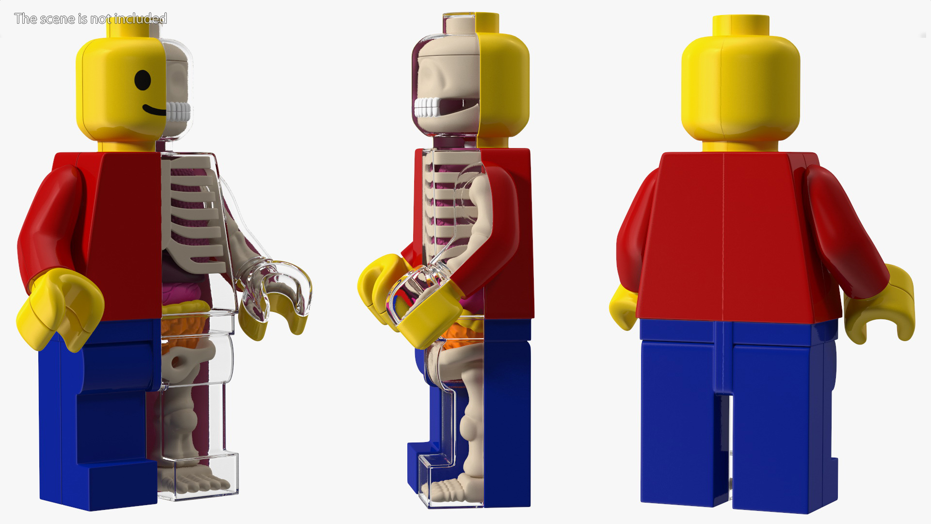 Anatomical LEGO Man Details 3D