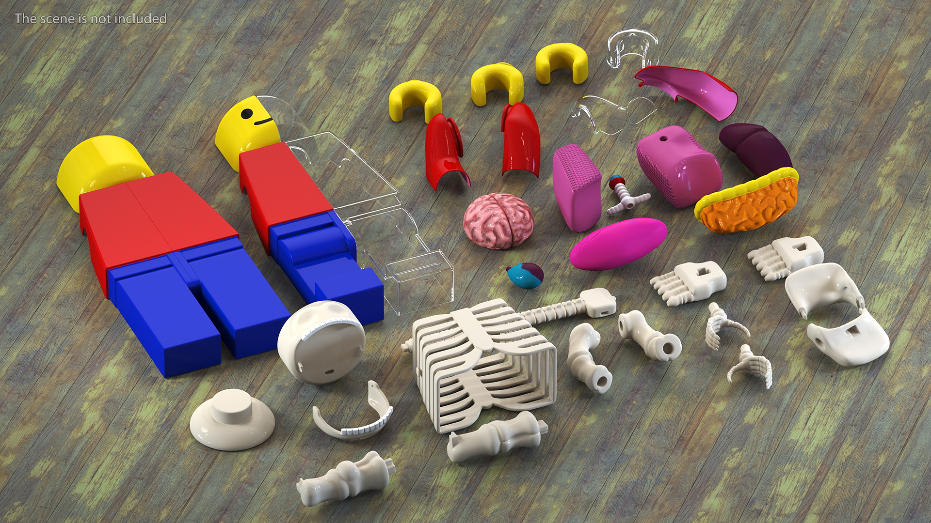 Anatomical LEGO Man Details 3D