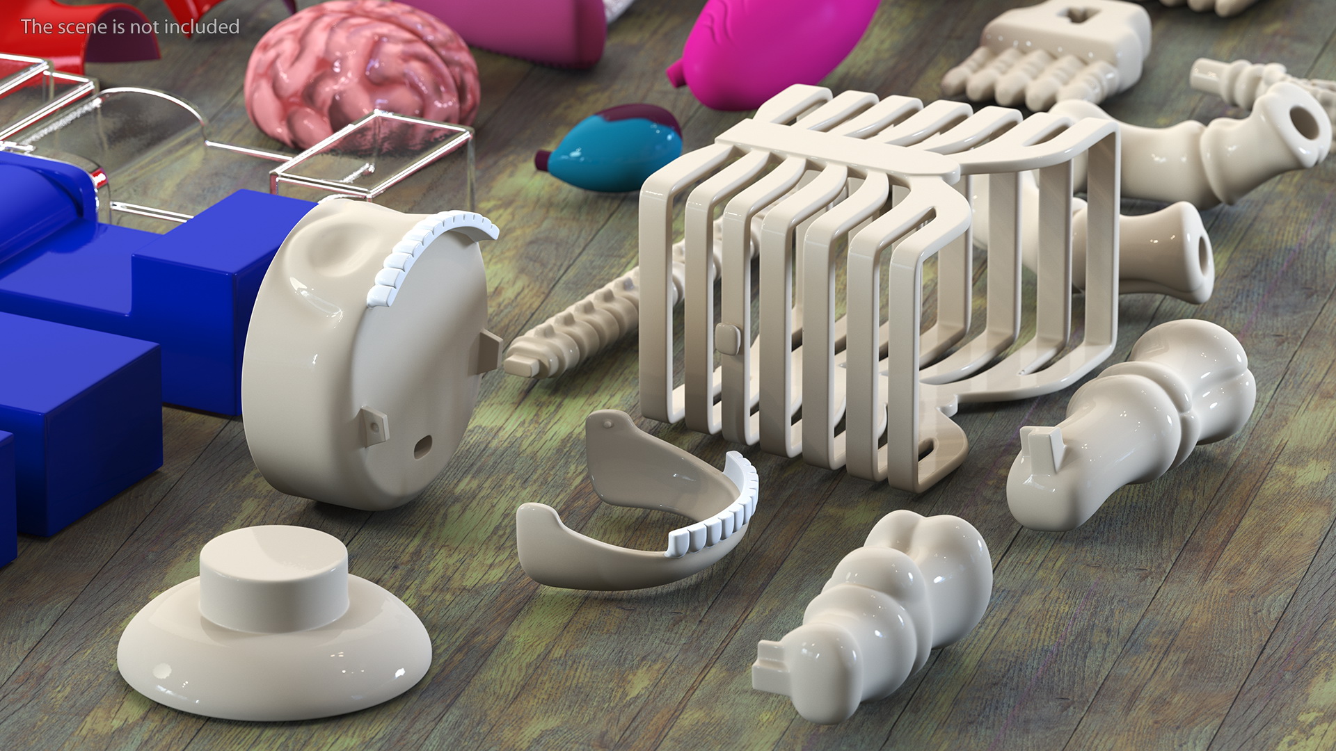 Anatomical LEGO Man Details 3D