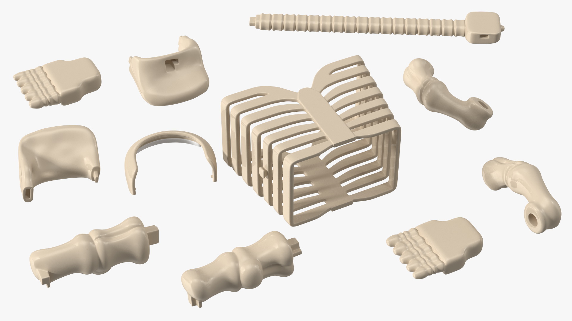 Anatomical LEGO Man Details 3D