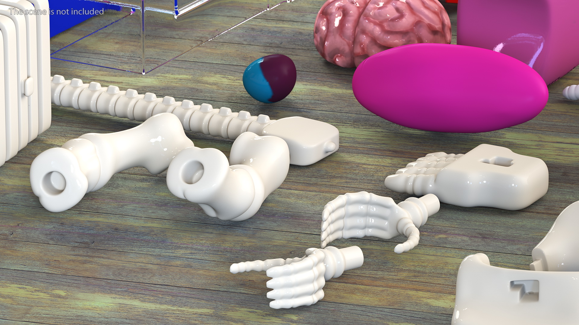 Anatomical LEGO Man Details 3D