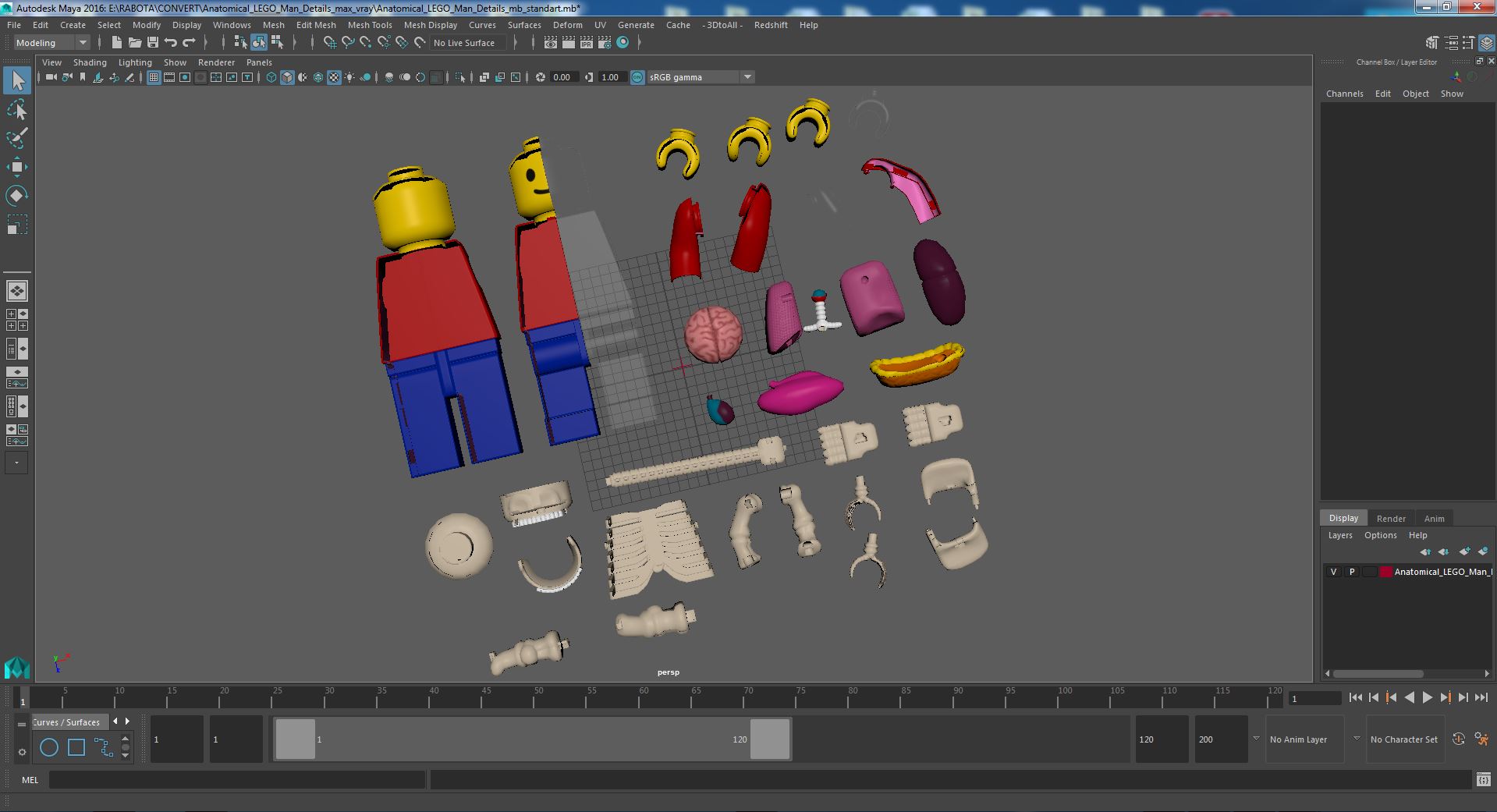 Anatomical LEGO Man Details 3D