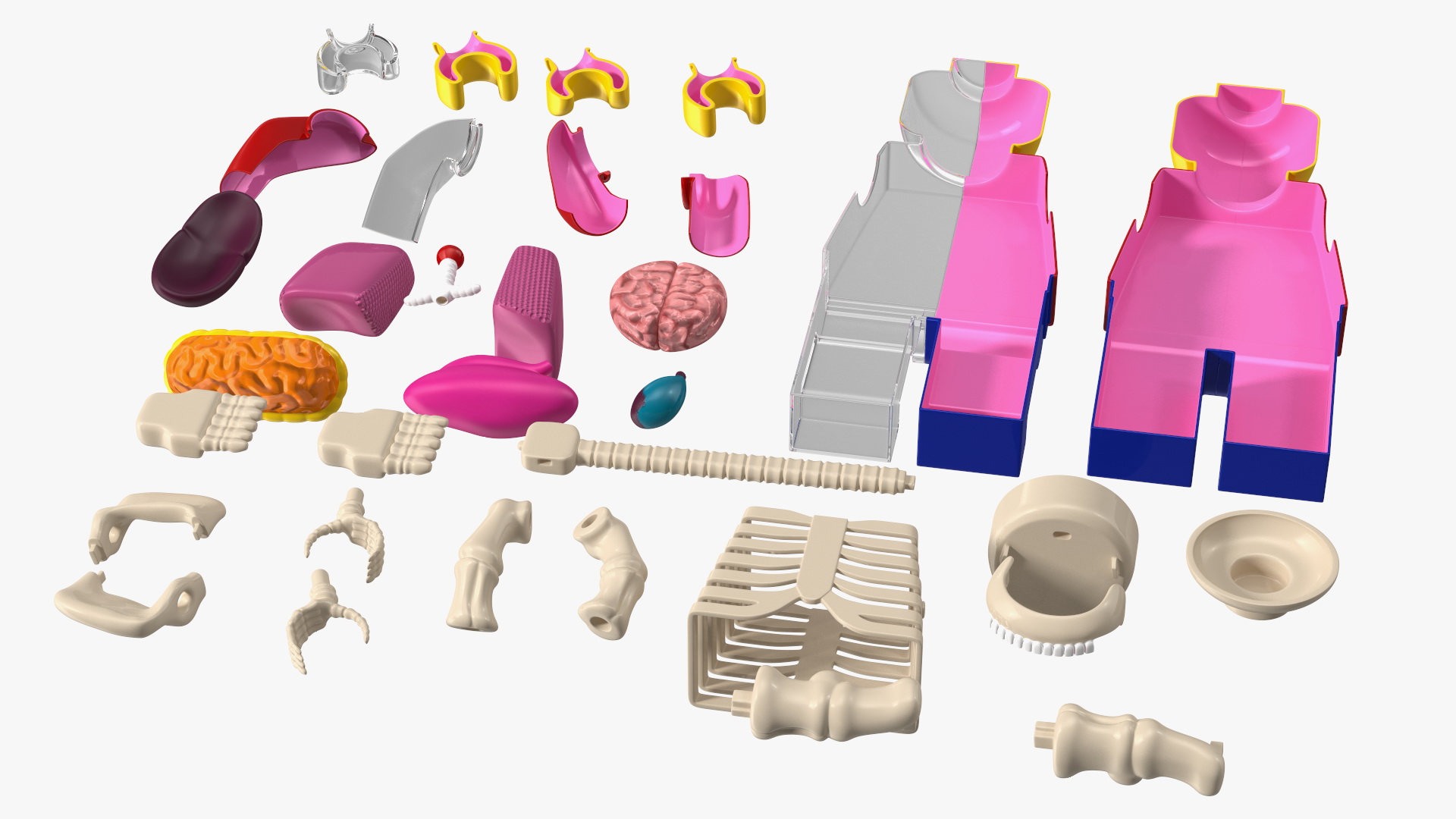 Anatomical LEGO Man Details 3D