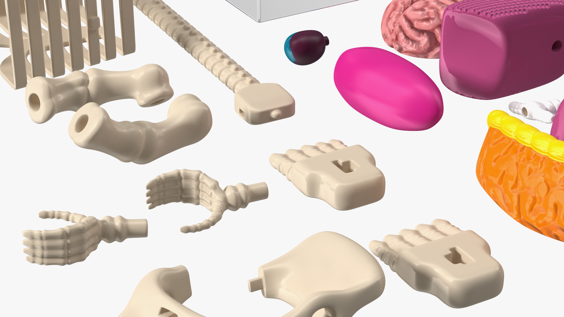 Anatomical LEGO Man Details 3D