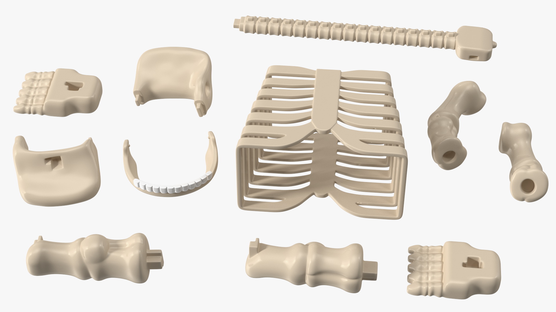 Anatomical LEGO Man Details 3D
