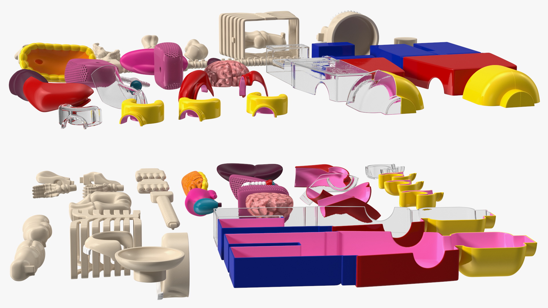 Anatomical LEGO Man Details 3D