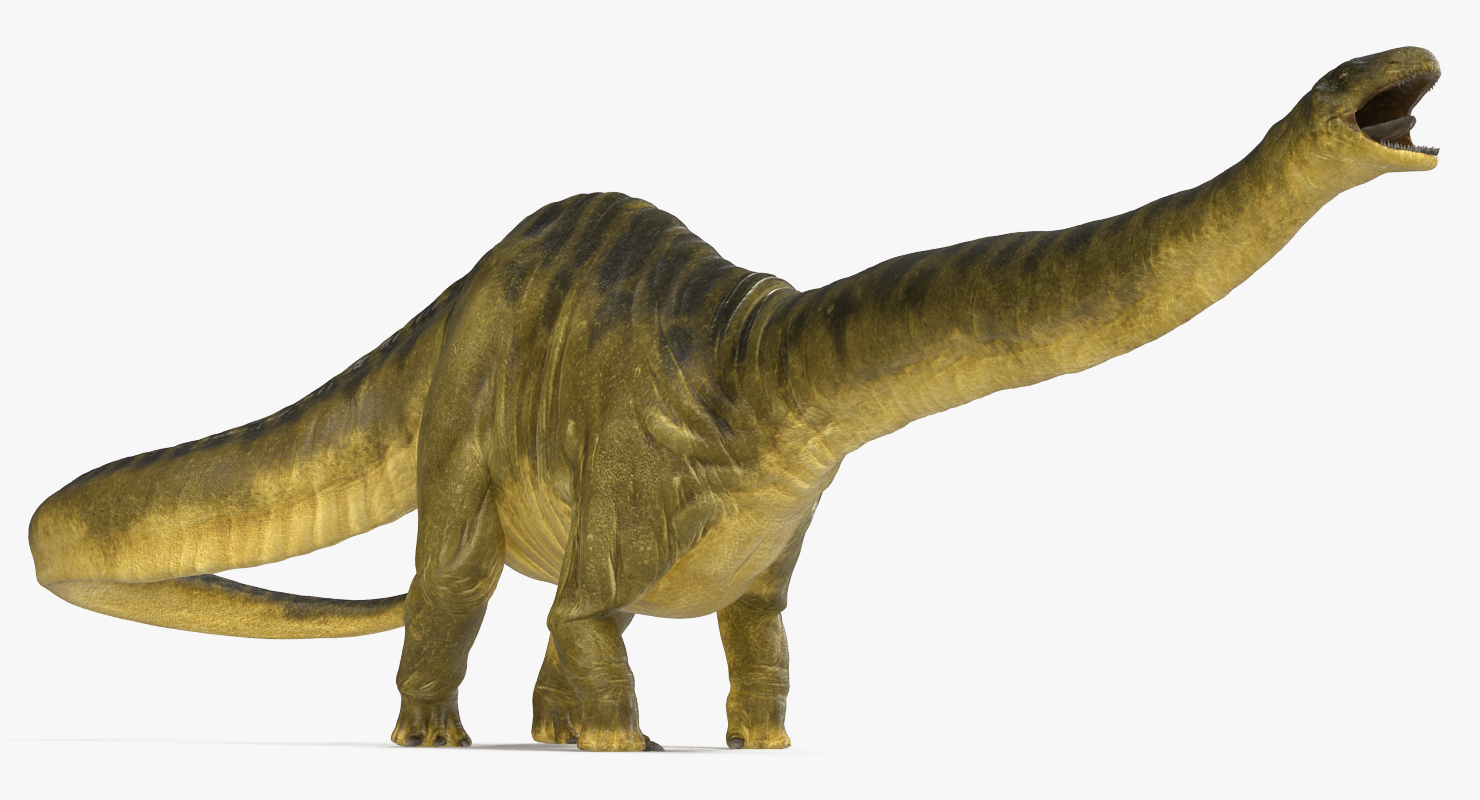 Apatosaurus Dinosaur Rigged 3D