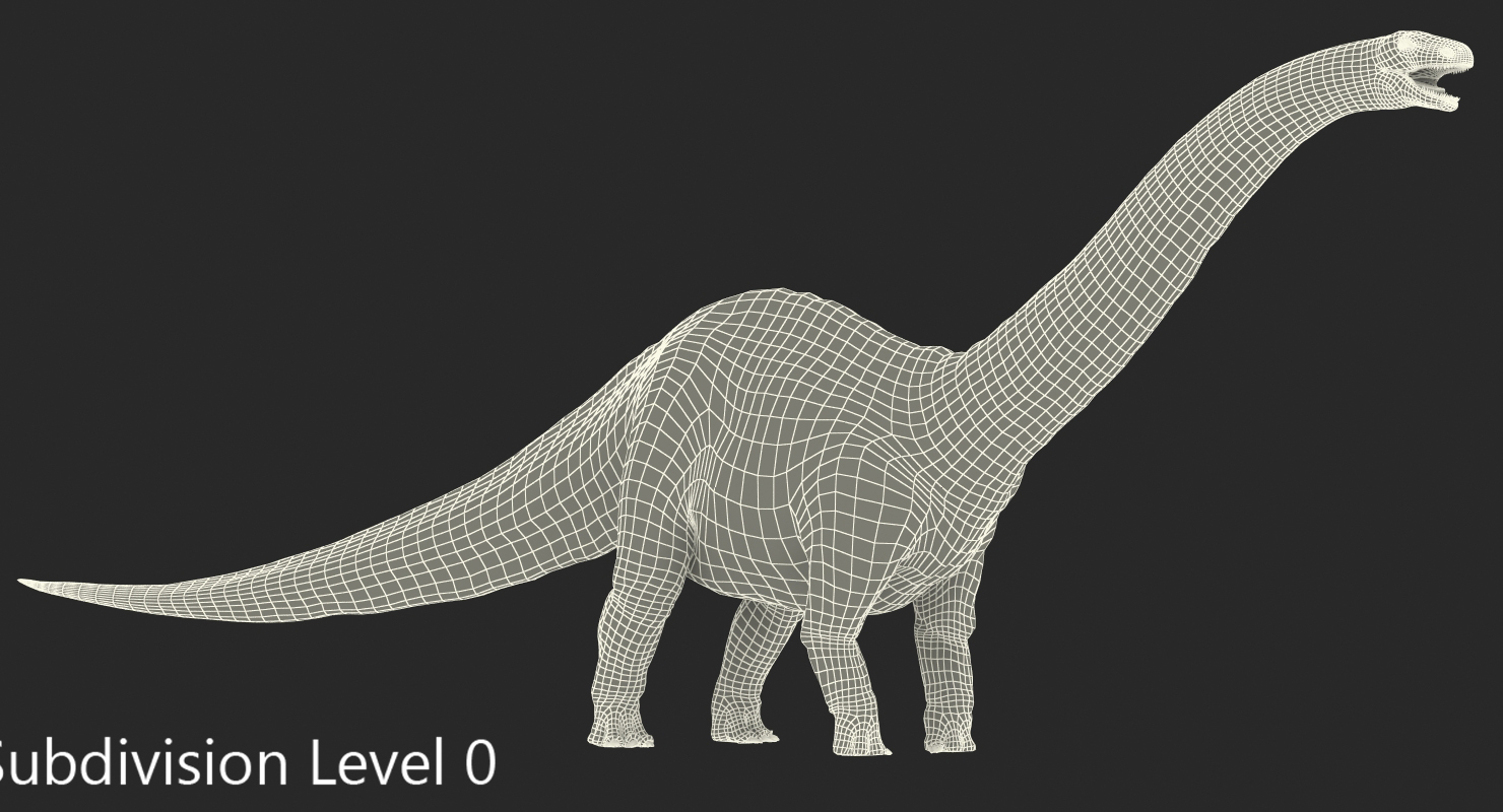 Apatosaurus Dinosaur Rigged 3D
