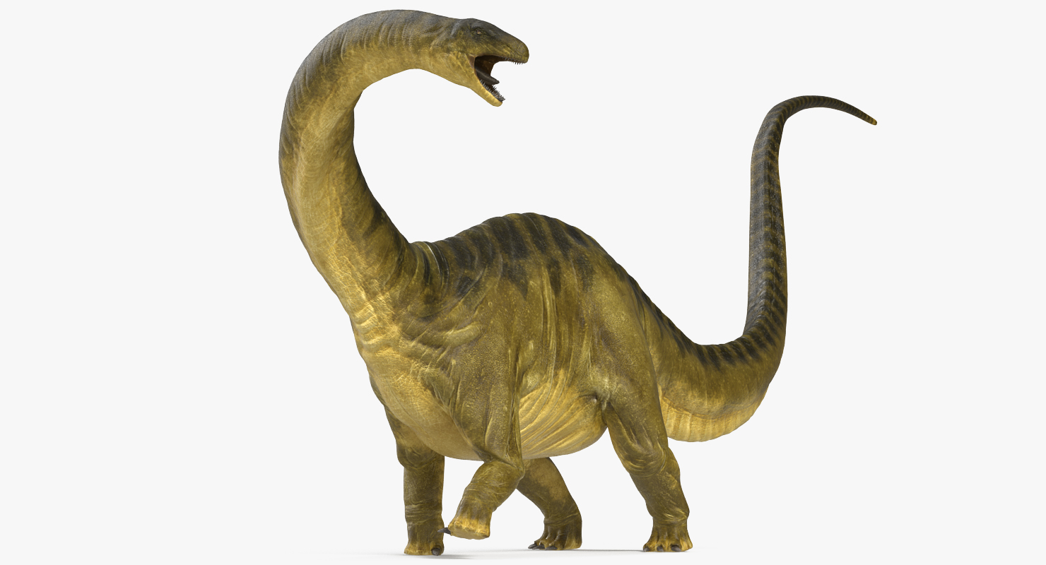 Apatosaurus Dinosaur Rigged 3D