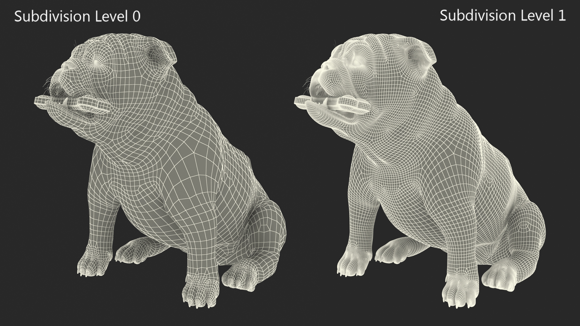 Bulldog with a Chewing Bone in His Mouth Fur 3D model