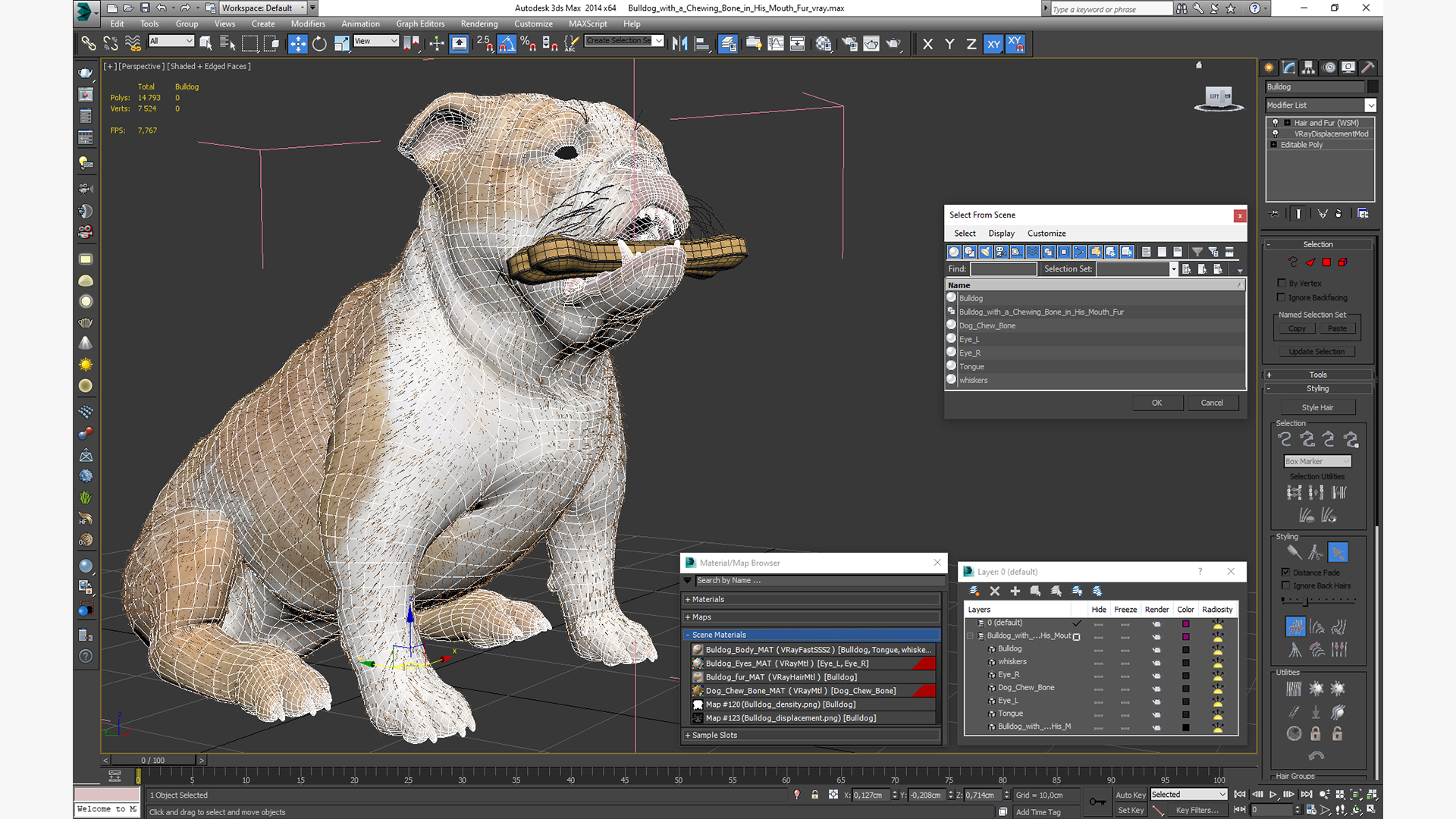 Bulldog with a Chewing Bone in His Mouth Fur 3D model