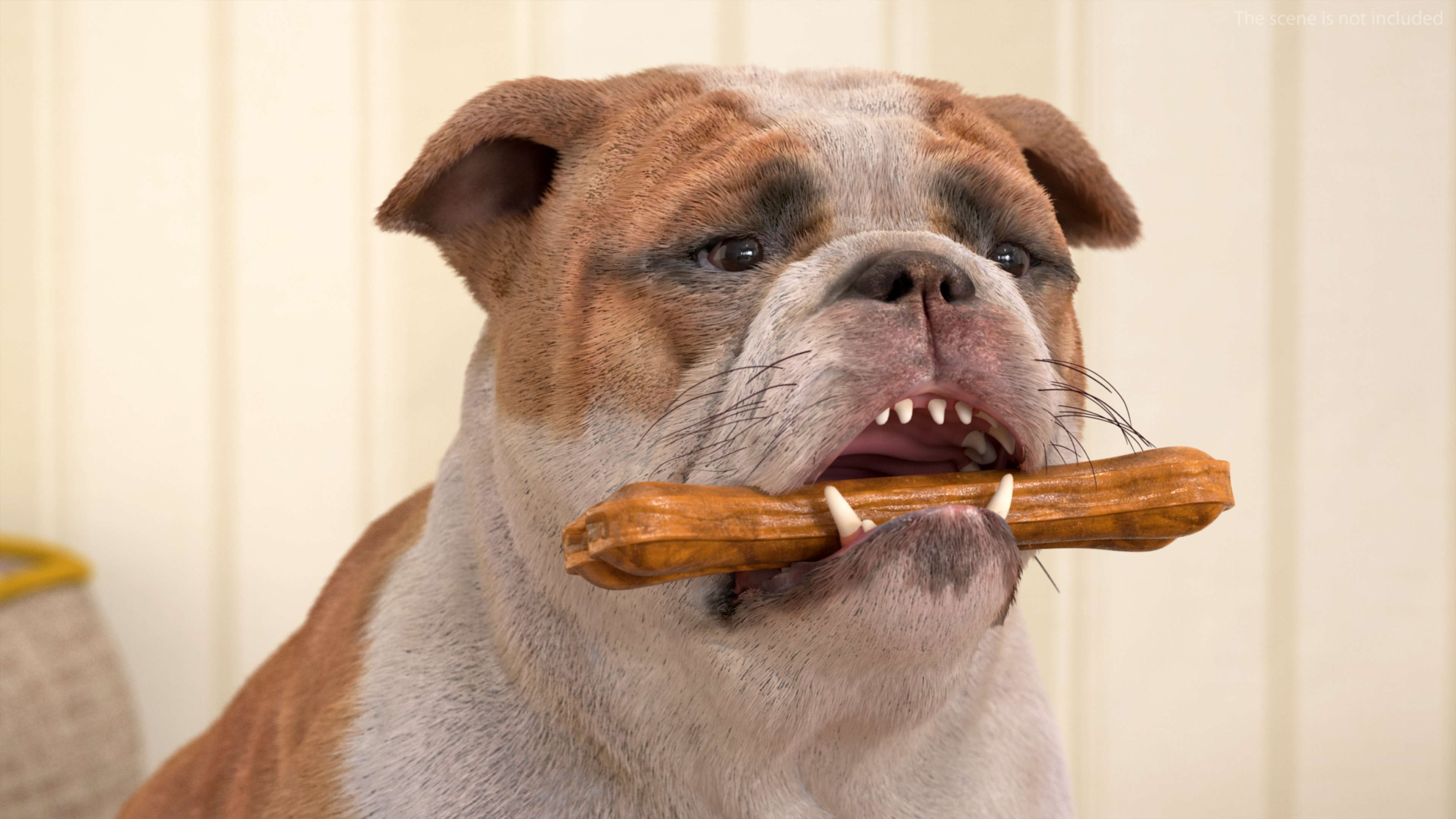 Bulldog with a Chewing Bone in His Mouth Fur 3D model