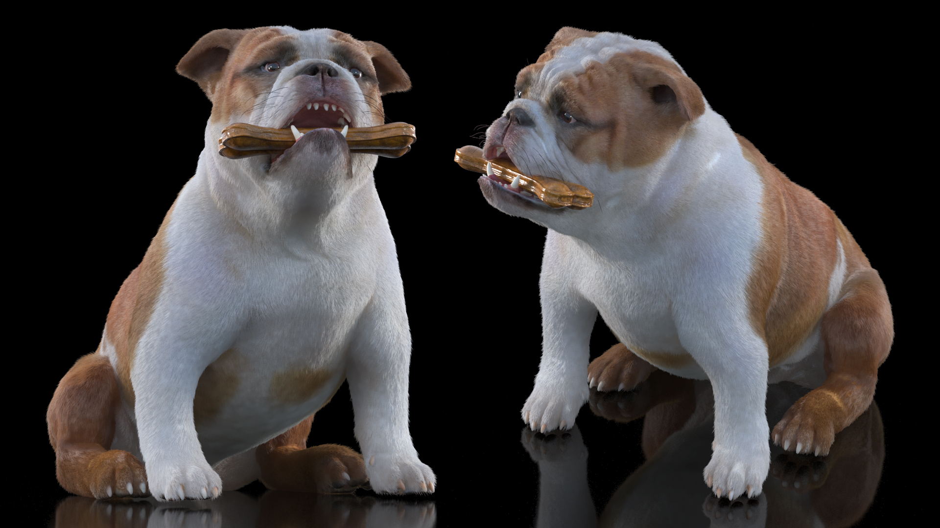 Bulldog with a Chewing Bone in His Mouth Fur 3D model
