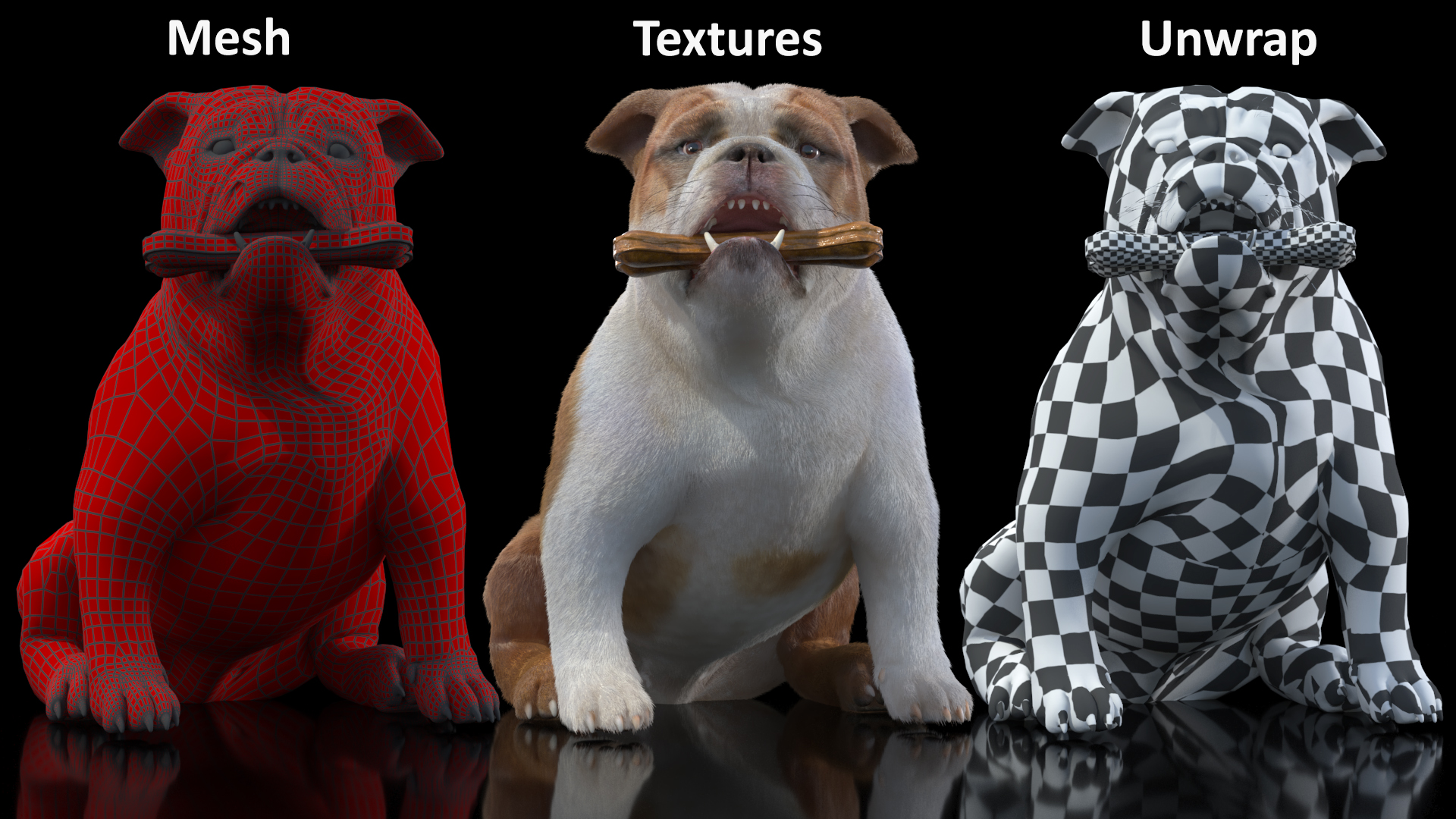 Bulldog with a Chewing Bone in His Mouth Fur 3D model