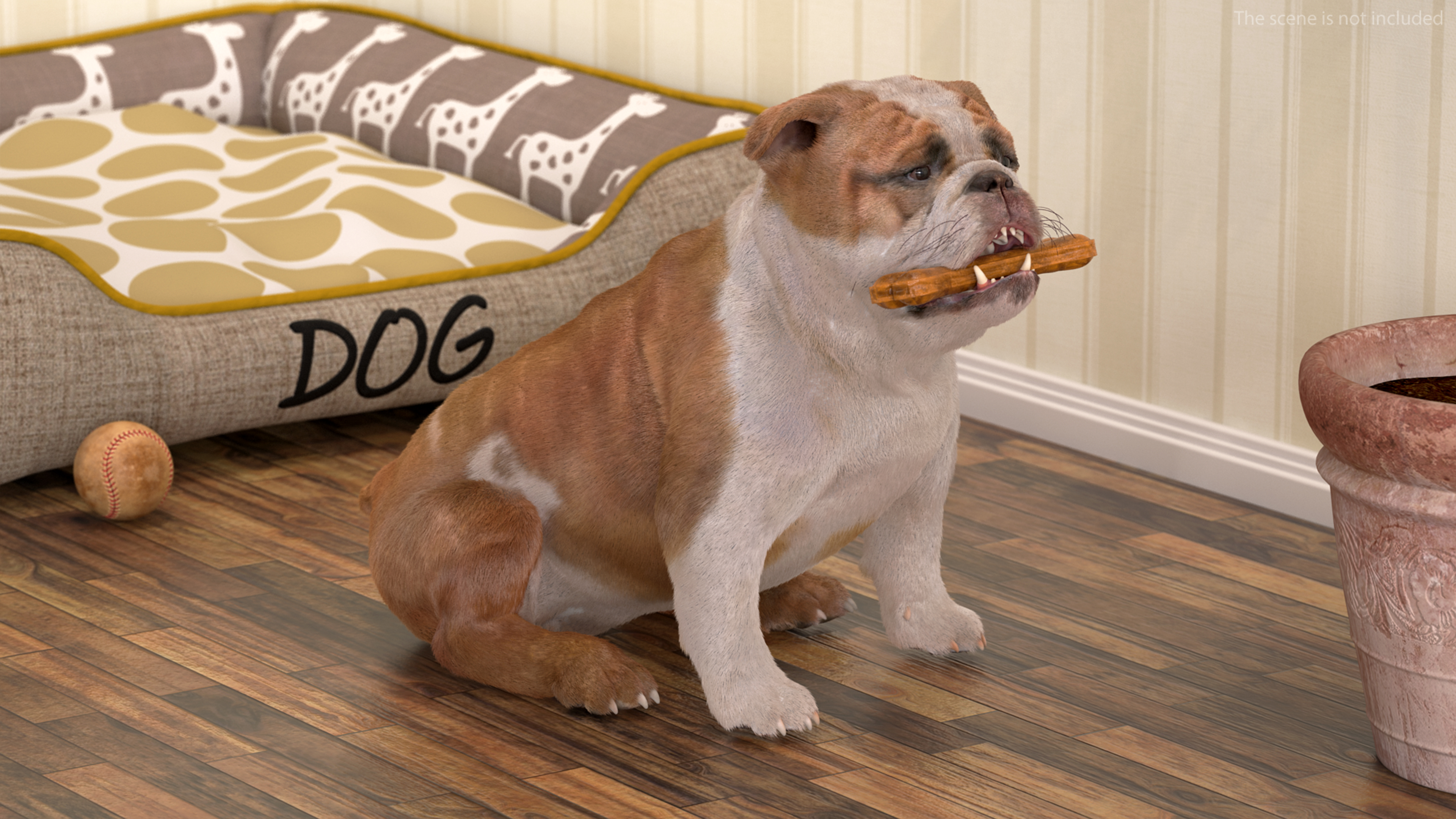 Bulldog with a Chewing Bone in His Mouth Fur 3D model