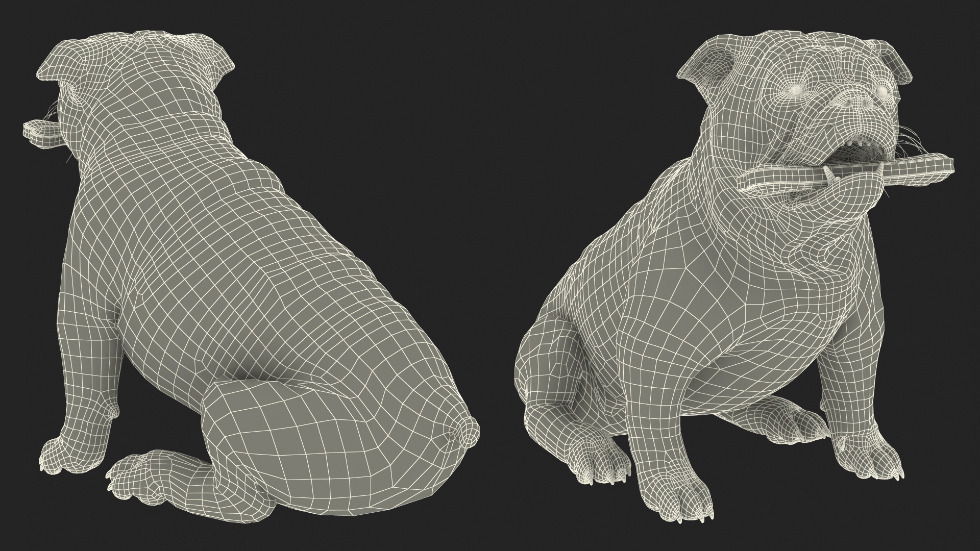 Bulldog with a Chewing Bone in His Mouth Fur 3D model