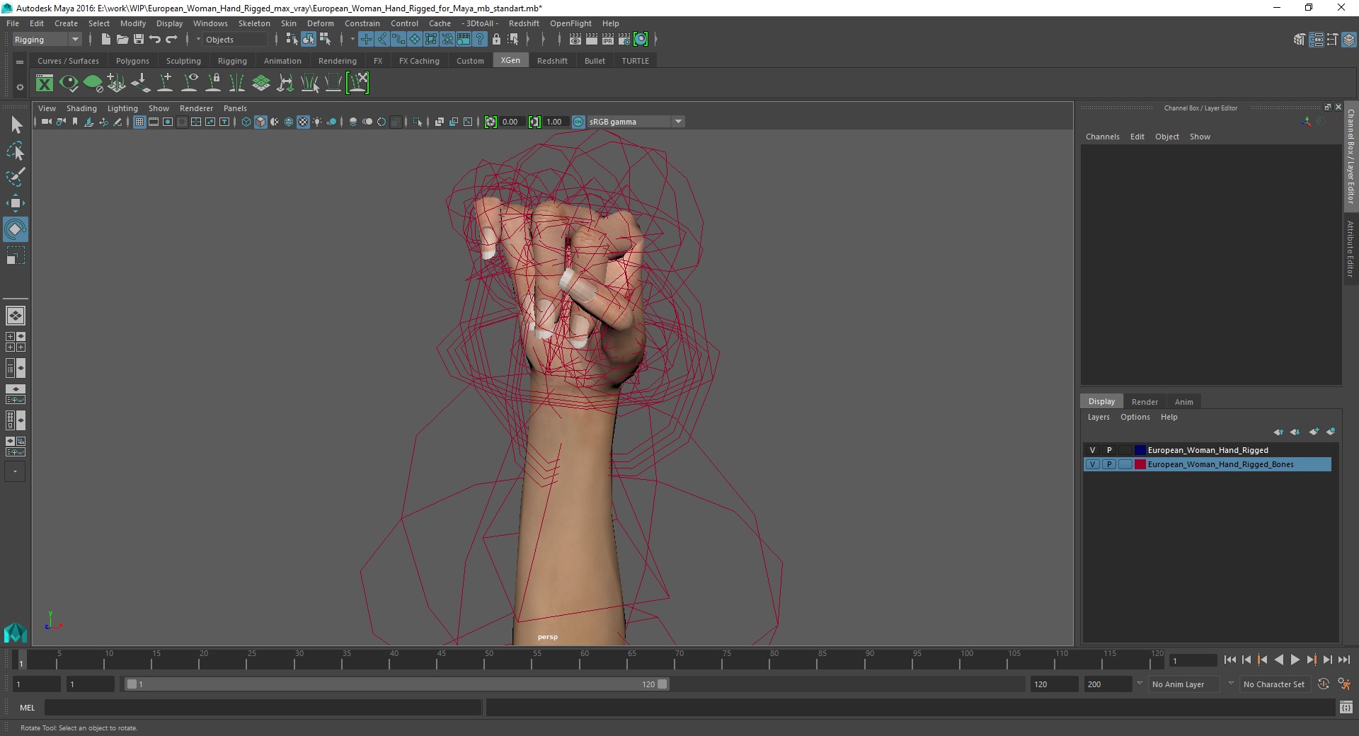 3D model European Woman Hand Rigged for Maya