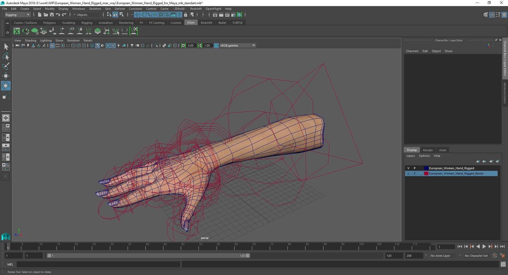 3D model European Woman Hand Rigged for Maya
