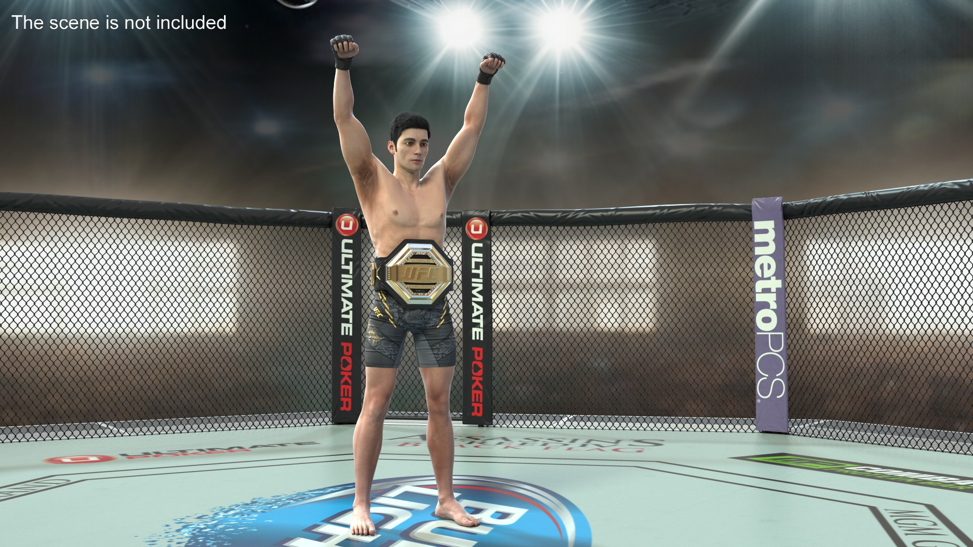 3D model UFC Fighting Arena with MMA Champion Fur