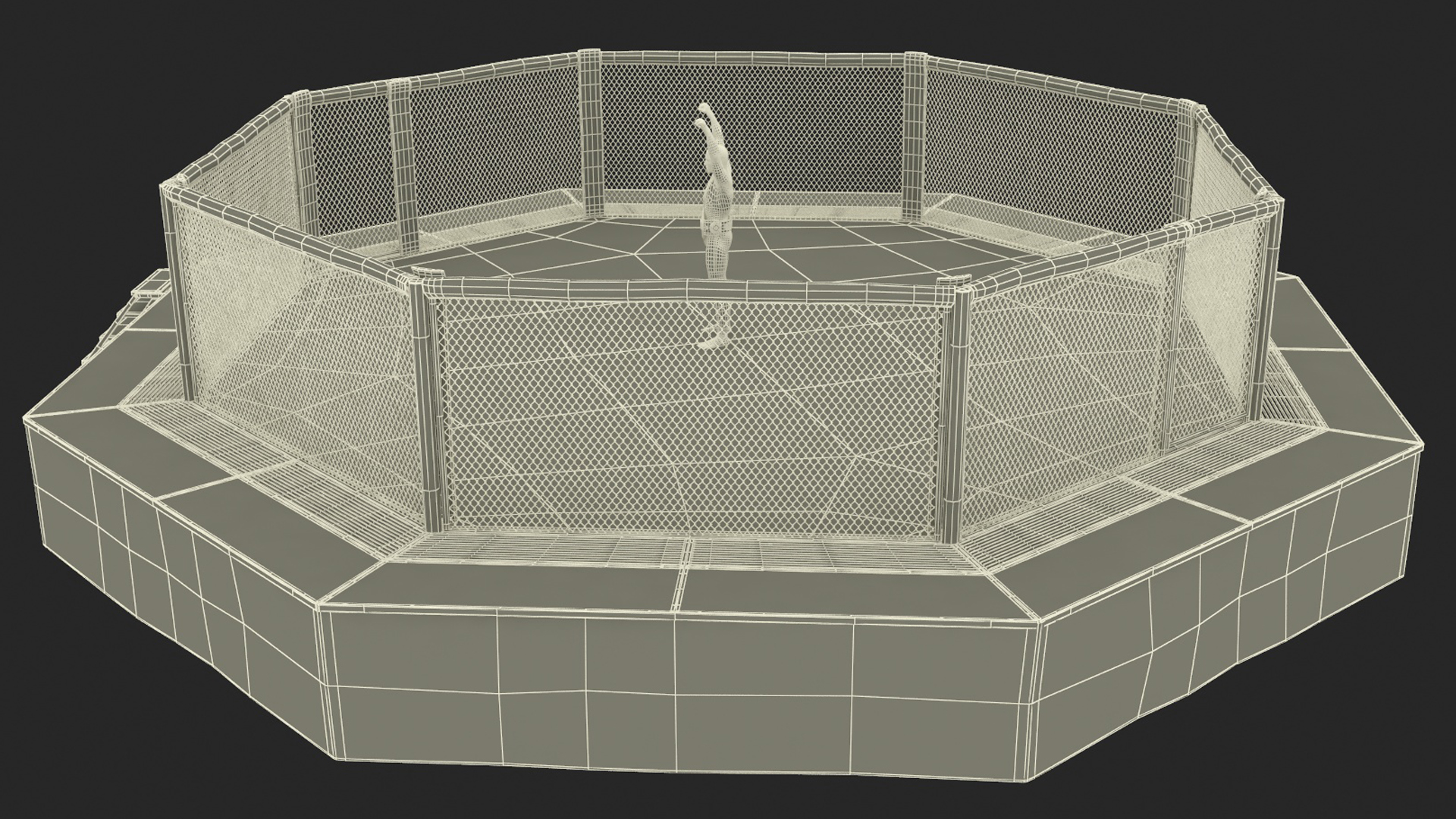 3D model UFC Fighting Arena with MMA Champion Fur