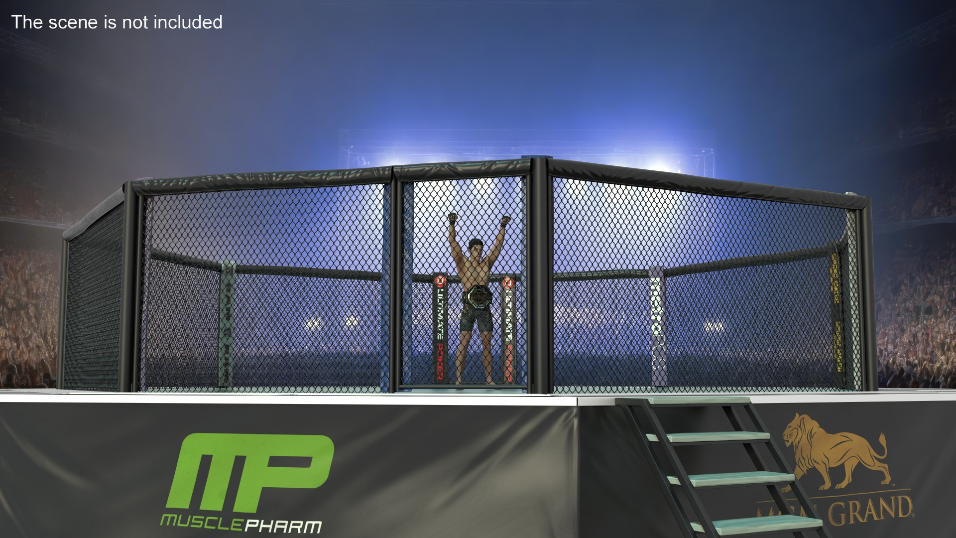 3D model UFC Fighting Arena with MMA Champion Fur