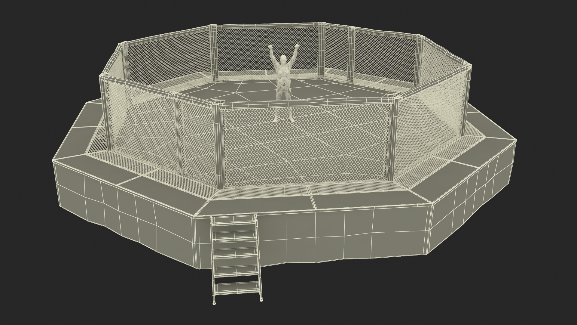 3D model UFC Fighting Arena with MMA Champion Fur
