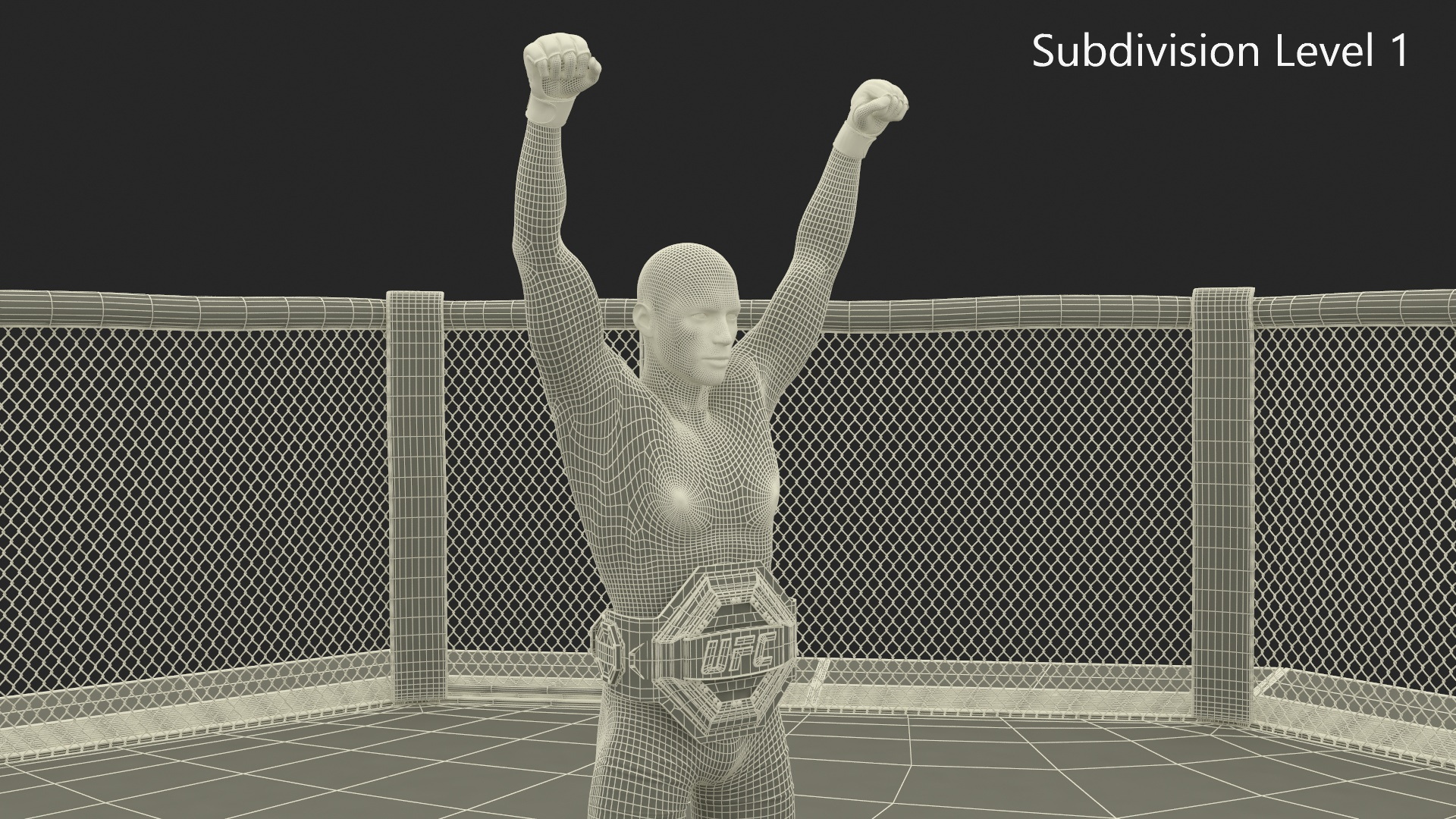 3D model UFC Fighting Arena with MMA Champion Fur