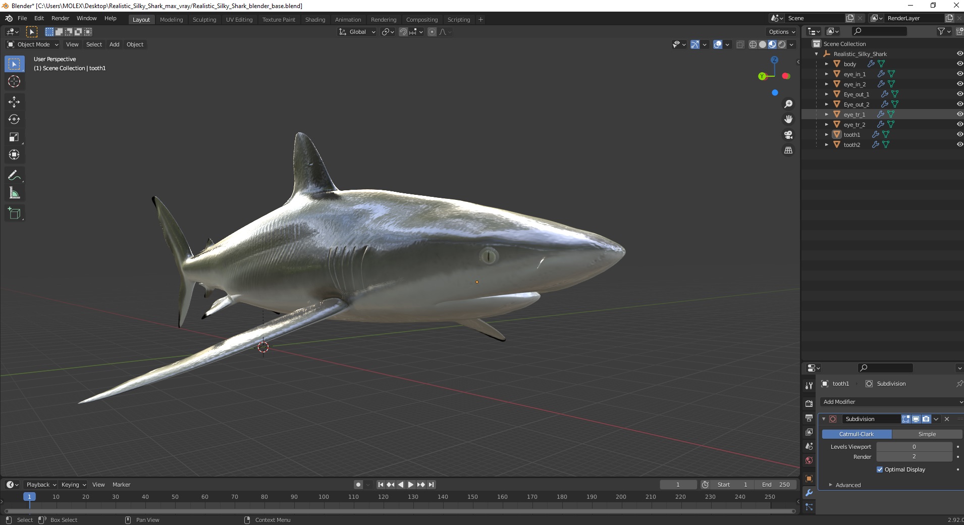 3D Realistic Silky Shark